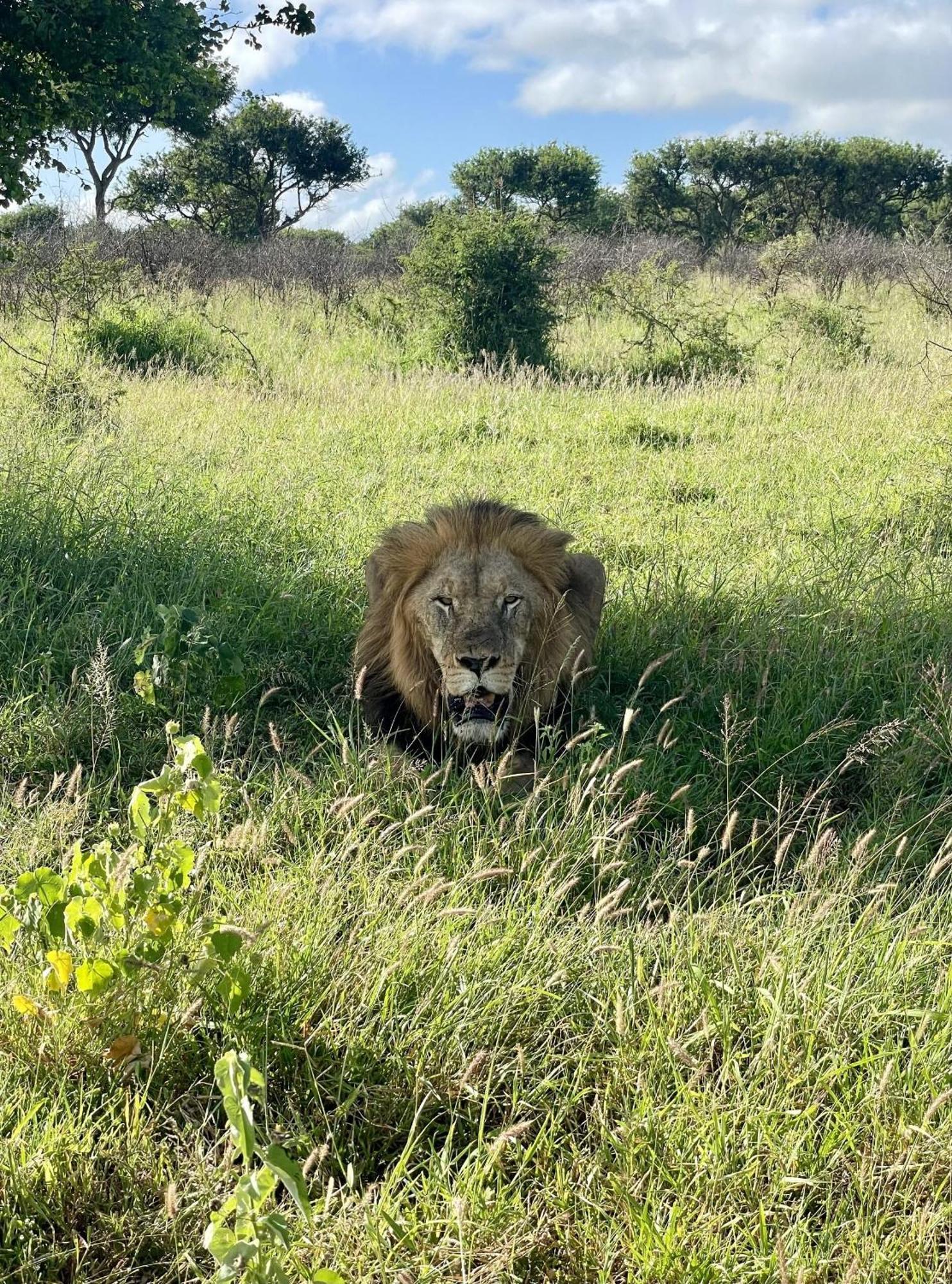 Rhino River Lodge Manyoni Private Game Reserve Dış mekan fotoğraf